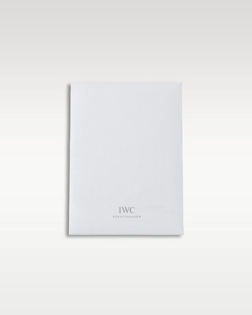 IWC Pilot's Chrono IW389105 Image 5